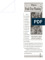 6_fruit_tree_planting.pdf
