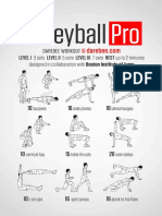 Volleyball Pro Workout PDF