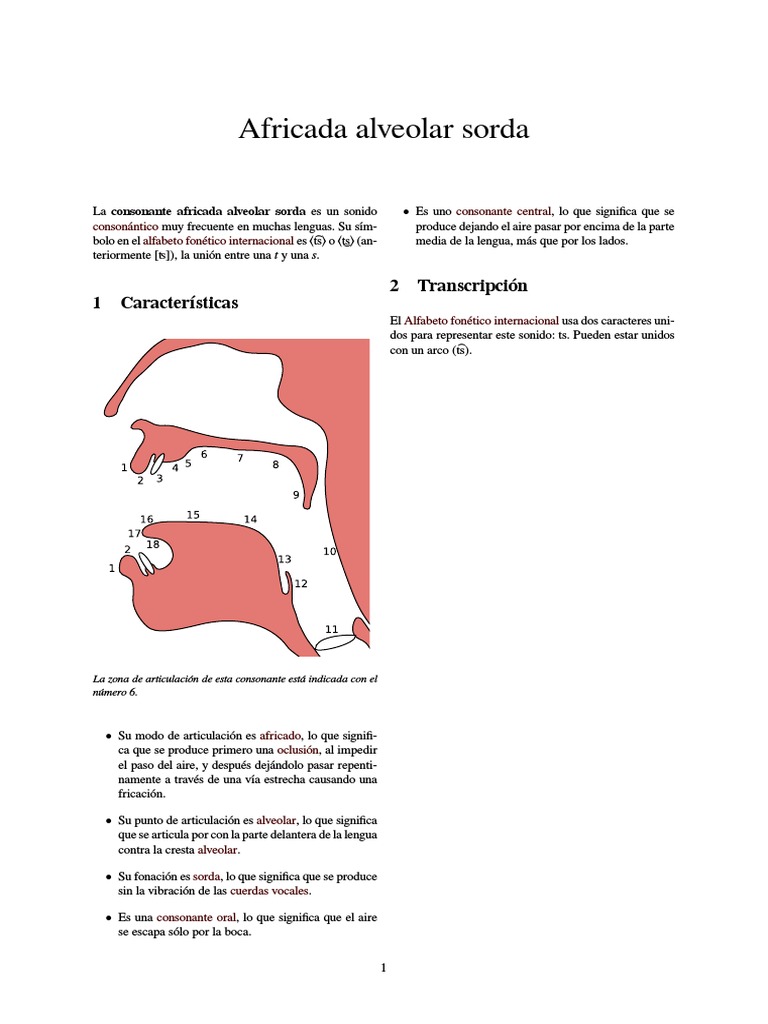 Africada alveolar sorda Comunicación oral Comunicación humana