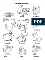 Les Animaux Domestiques