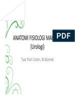 Anfisman - urologi