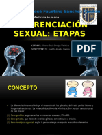 Diferenciación Sexual