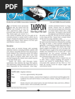 Download Sea Stats - Tarpon by Florida Fish and Wildlife Conservation Commission SN34595046 doc pdf