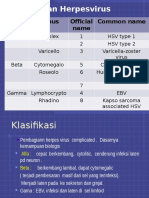 Herpes Virus 14 Des2011