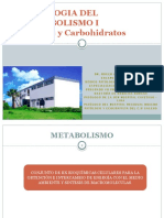 Patologia Del Metabolismo i