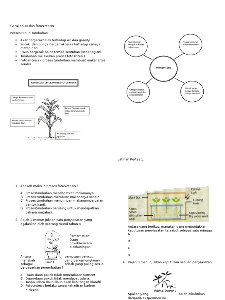 Gerakbalas Dan Fotosintesis Setuisyen Pdf