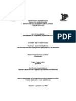 Informe Ingenieria Materiales 2006