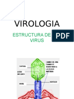 VIROLOGIA