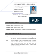 CV Ignacio Del Pozo Ingeniero. Arg.
