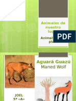 Animales de Nuestro Lugar Proyecto Enciclopedia