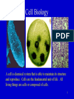 Cell Biology.pdf