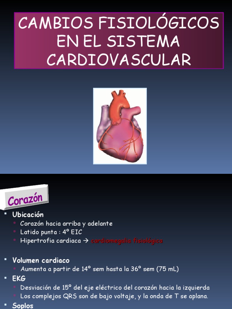 Cambios Fisiológicos Embarazo Actualización 2017