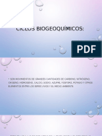 Ciclos Biogeoquímicos