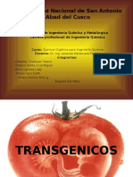 Transgenicos