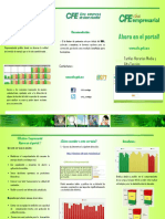 Folleto Cfectivaindustrial-1 (Triptico)