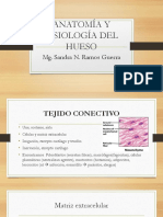 Anatomía y Fisiología Del Hueso PDF