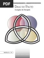Discipulado Maduro e Reprodutivo - Módulo 14.pdf