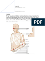 Dachangmai - Intestino Grosso