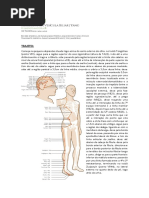 Danmai - Vesícula Biliar