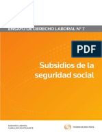 Subsidios_de_la_Seguridad_Social.pdf