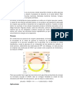 Fermentaciones