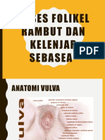 Abses Folikel Rambut Atau Kelenjar Sebasea