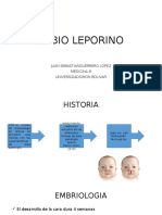 Labio Leporino