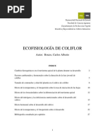 Download Ecofisiologa de Coliflorpdf by Pao Gabriel SN346066828 doc pdf