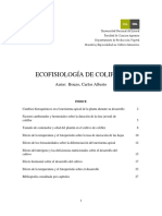 Ecofisiología de Coliflor PDF