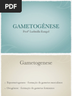 Gametogenese