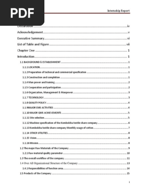 Internship Report