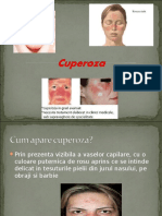 Cuperoza 97-03
