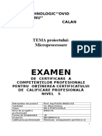 Microprocesoare - Cic Alina Dorina