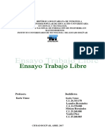 Ensayo (Trabajo Libre)