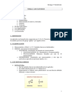 Tema 2 Los glúcidos.doc