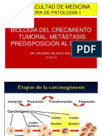 Crecimiento tumoral, metástasis y factores de predisposición al cáncer