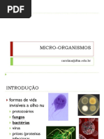 UNIVERSO MICROBIANO 2017