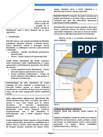 Amc Cabeca Eduardo PDF
