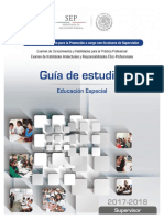 4 Supervision Educacion Especial