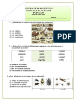 2º Básico 2015