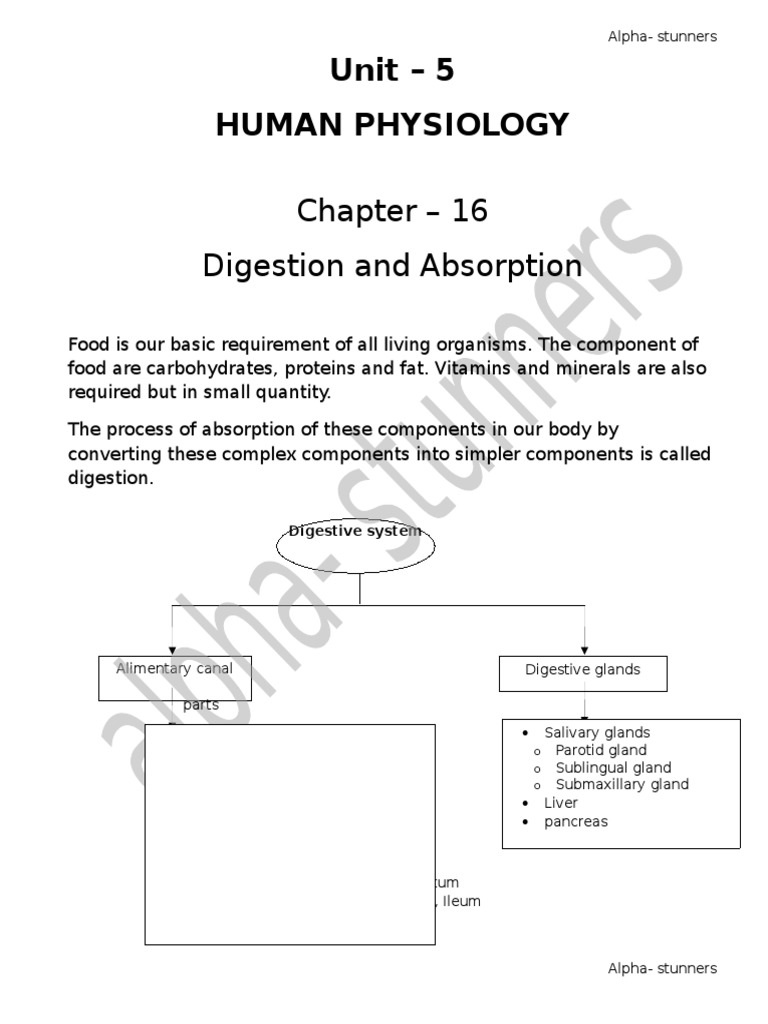 Chapter - 16 Digestion and Absorption: Unit - 5 Human Physiology | PDF