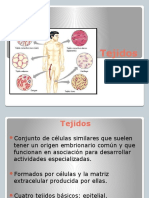 tejidos-ppt-5