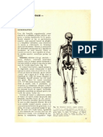 4.Stiinta Despre Oase-Osteologia