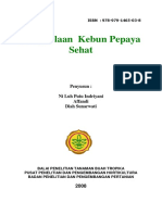 kebunpepaya.pdf