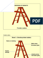 Portable Ladders.pptx