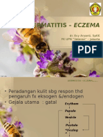 File Upn - Dermatitis Edit Dr. Evy