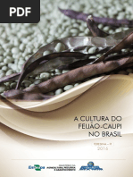 Cultura Fei Ja Oca Up i Brasil