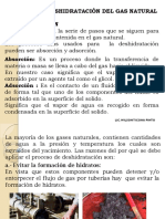 4 DESHIDRATACION DEL GN.pdf