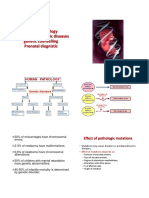 Sfatul Genetic Eng