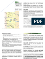 Tentir Modul Endokrin - Sum II Part II Ext I